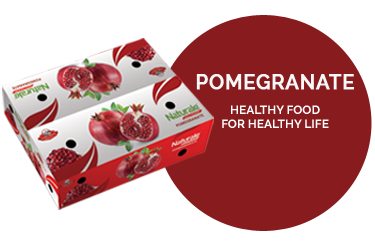 Pomegranate