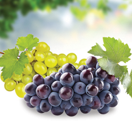 Grapes